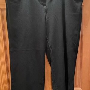 Eileen Fisher Women’s Elegant Black Pants Zip XL